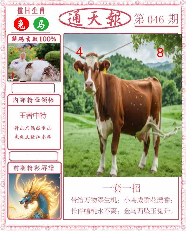 港彩图库 2026 正版通天报