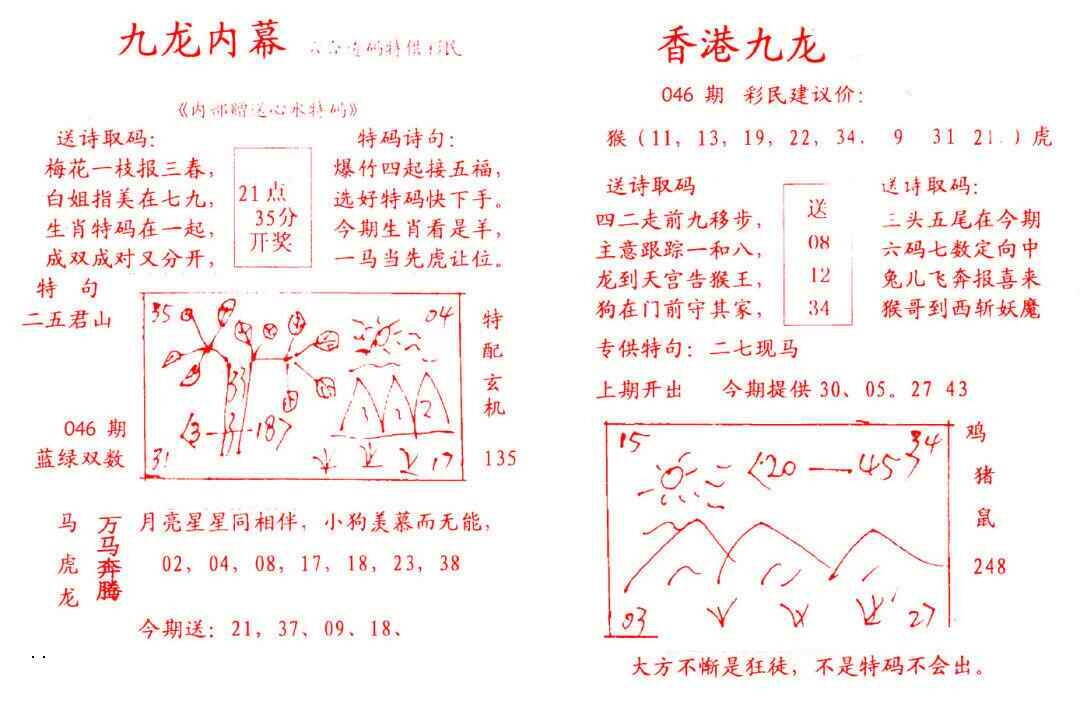 港彩图库 2026 九龙内幕