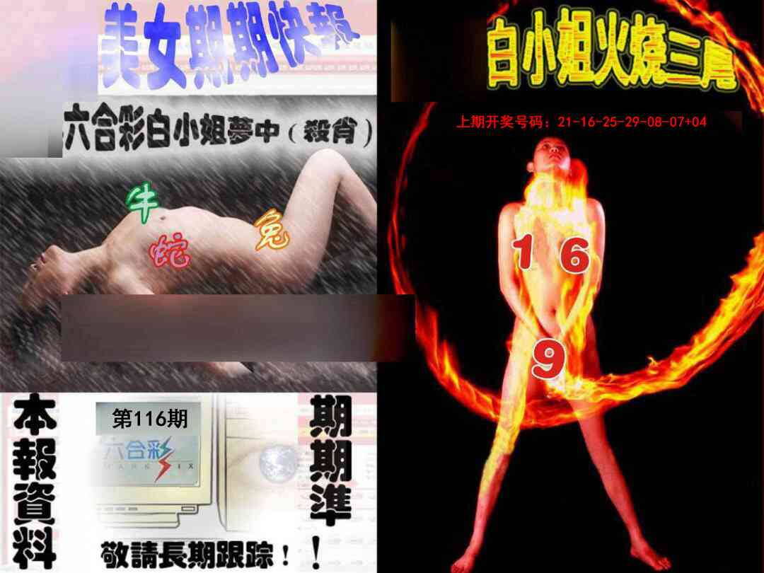 澳彩图库 2026 环球美女特码报