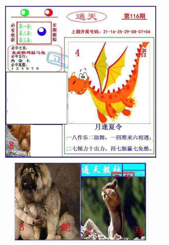 澳彩图库 2026 通天杀波图2
