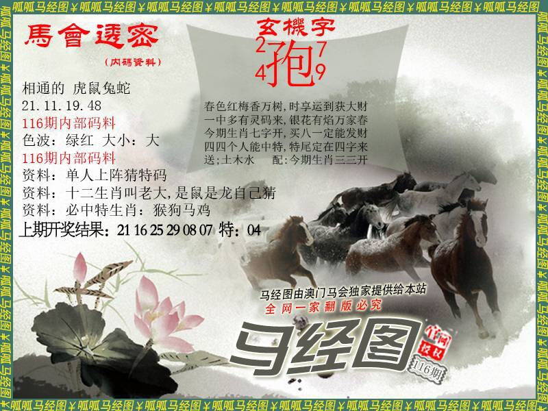 澳彩图库 2026 马经9