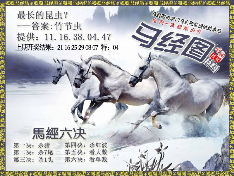 澳彩图库 2026 马经7